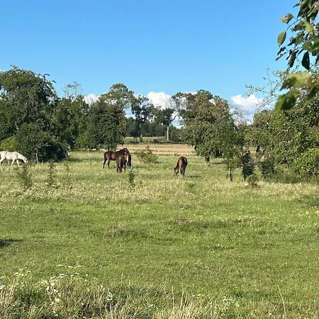 Holiday home Nad Stawem Dom Pietkowo